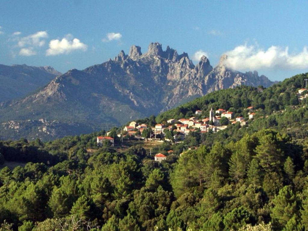 Les Hauts De Pinarello Apartment Sainte-Lucie de Porto-Vecchio